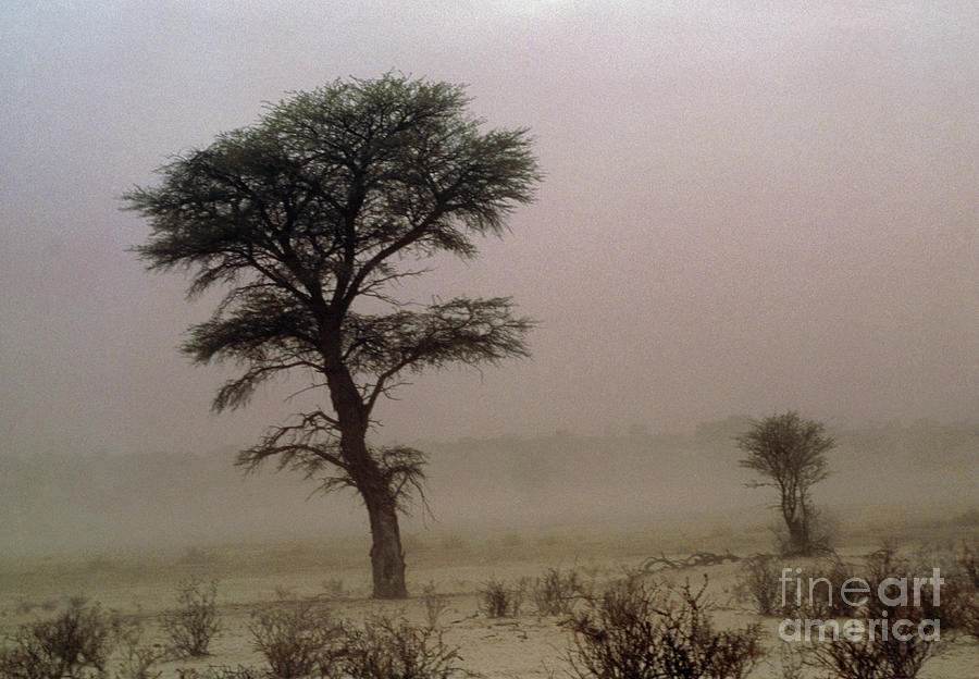 Dust Storm #1 Photograph by Peter Chadwick/science Photo Library