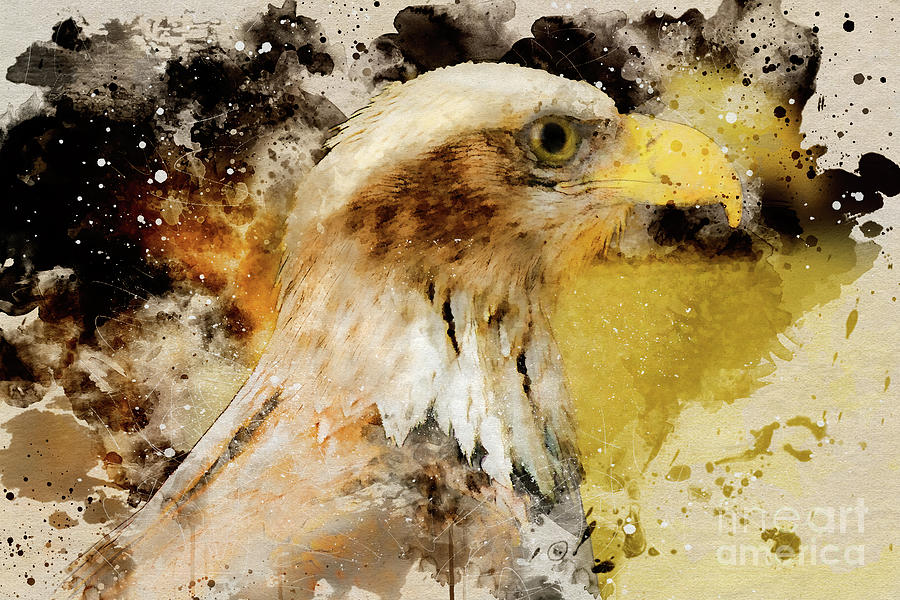 Eagle2 Digital Art by Mark Jackson
