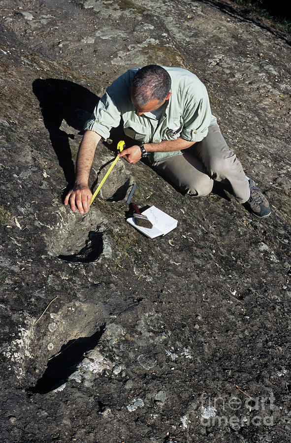 Early Human Footprints #1 Photograph by Pasquale Sorrentino/science Photo Library