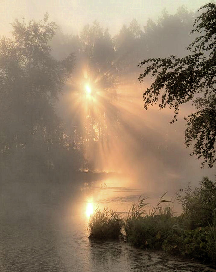 Jesus Christ Painting - Early Morning on the Jordan River by Troy Caperton