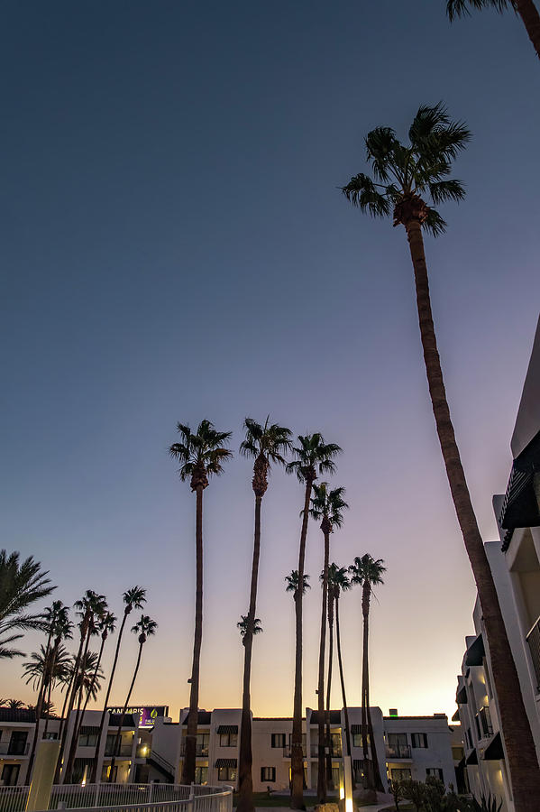 Early Morning With Sunrise At Hotel And Palm Trees #1 Photograph by Alex Grichenko