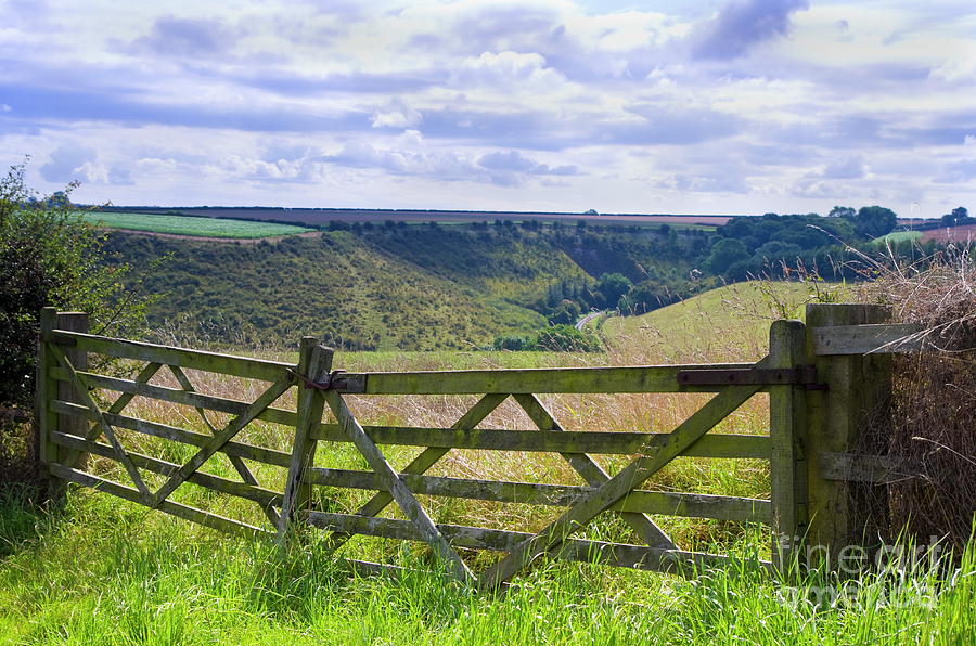 East Yorkshire Wolds. Photograph By Richard Pinder - Fine Art America