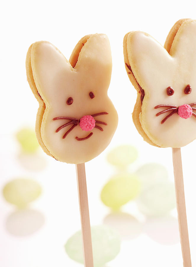 Easter Bunny Biscuits Lollies Decorated With Chocolate Cream And Icing #1 Photograph by Teubner Foodfoto