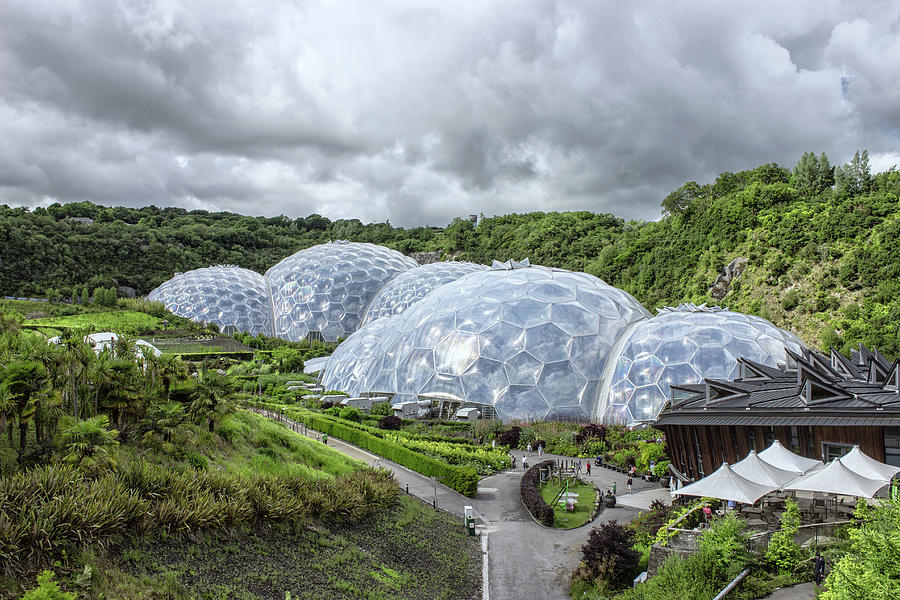 Nature Photograph - Eden Project Cornwall #1 by Martin Newman