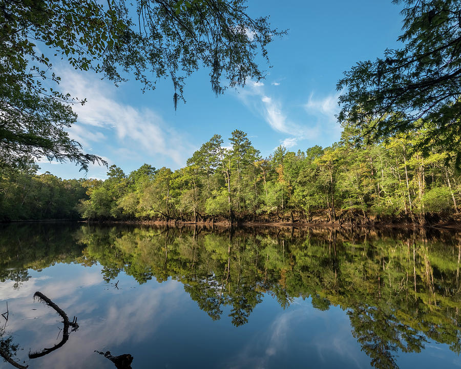 Edisto River Photograph by Patrick Lynch Fine Art America