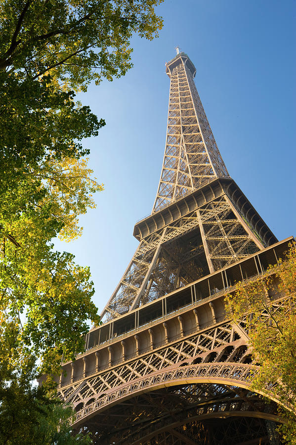 Eiffel Tower Viewed Through Autumnal #1 Photograph by Travelpix Ltd