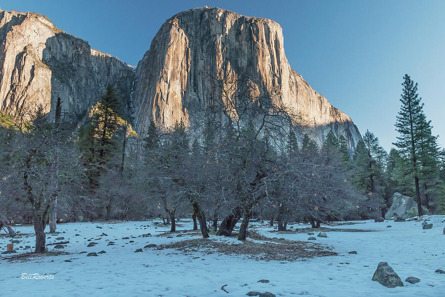 El Capitan In Early Light #1 Photograph by Bill Roberts