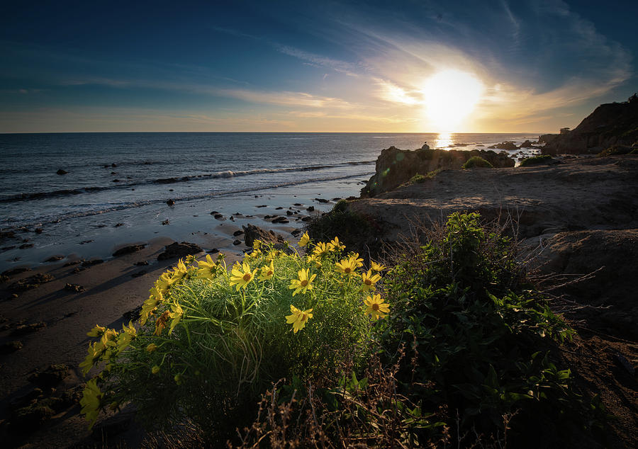El Matador Beach CA #1 Photograph by Dean Ginther