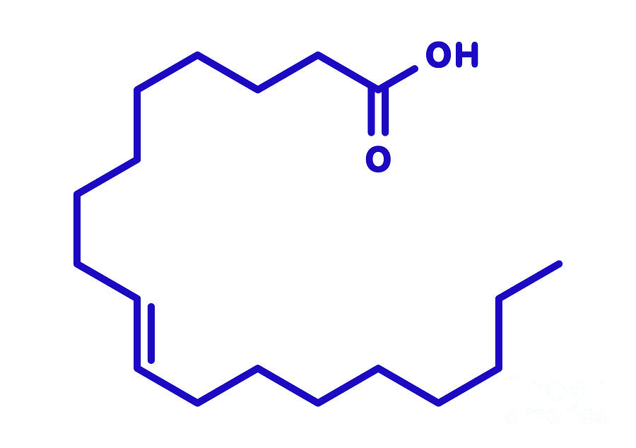 Elaidic Acid Molecule #1 by Science Photo Library