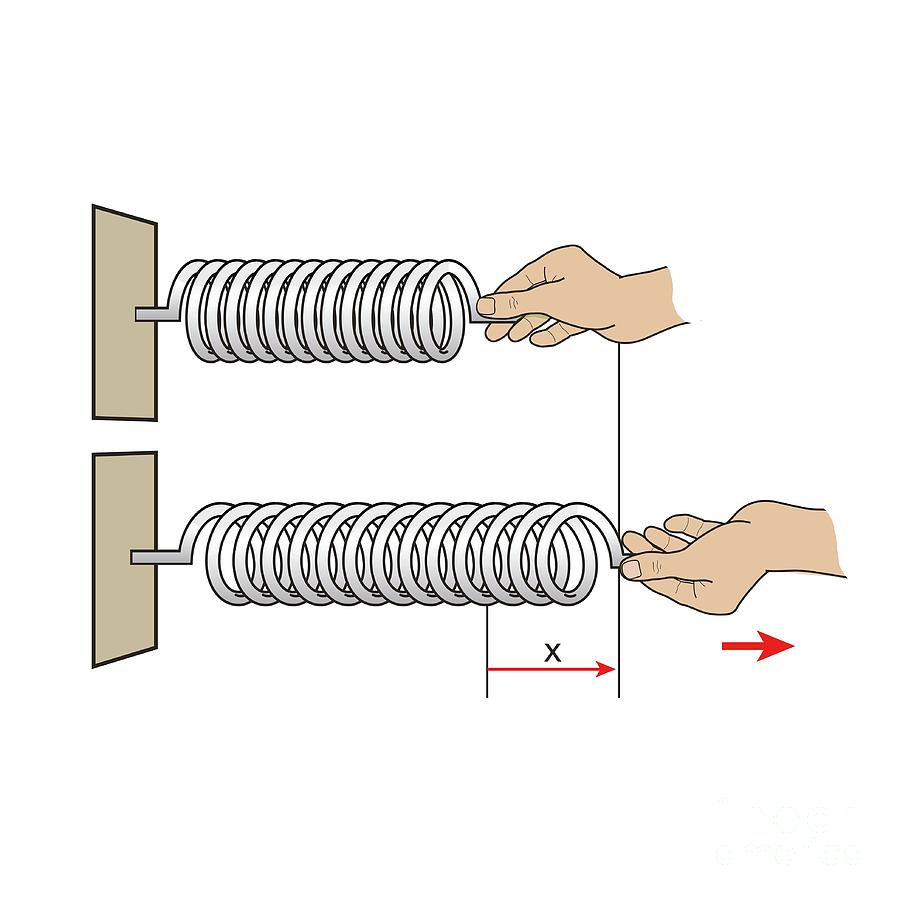 elastic-potential-energy-photograph-by-science-photo-library-pixels