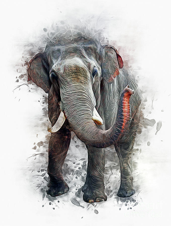 Elephant Art #1 Digital Art by Ian Mitchell