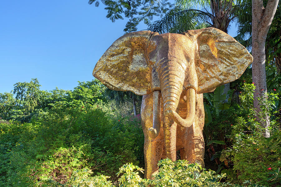 Elephant Statue, Miami Zoo, Fl #1 Digital Art by Laura Zeid