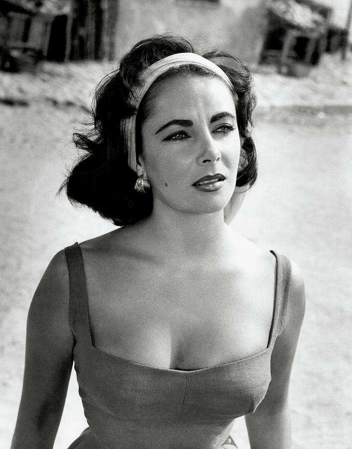 Elizabeth Taylor In Suddenly Last Summer Photograph By Globe Photos Fine Art America