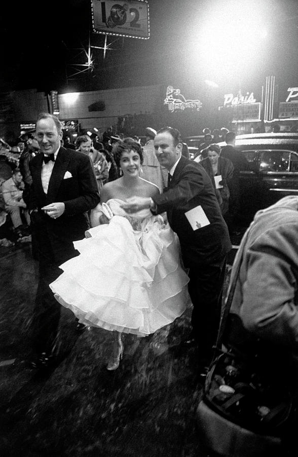 Elizabeth Taylor Photograph by Loomis Dean Elizabeth Taylor Photograph by Loomis Dean