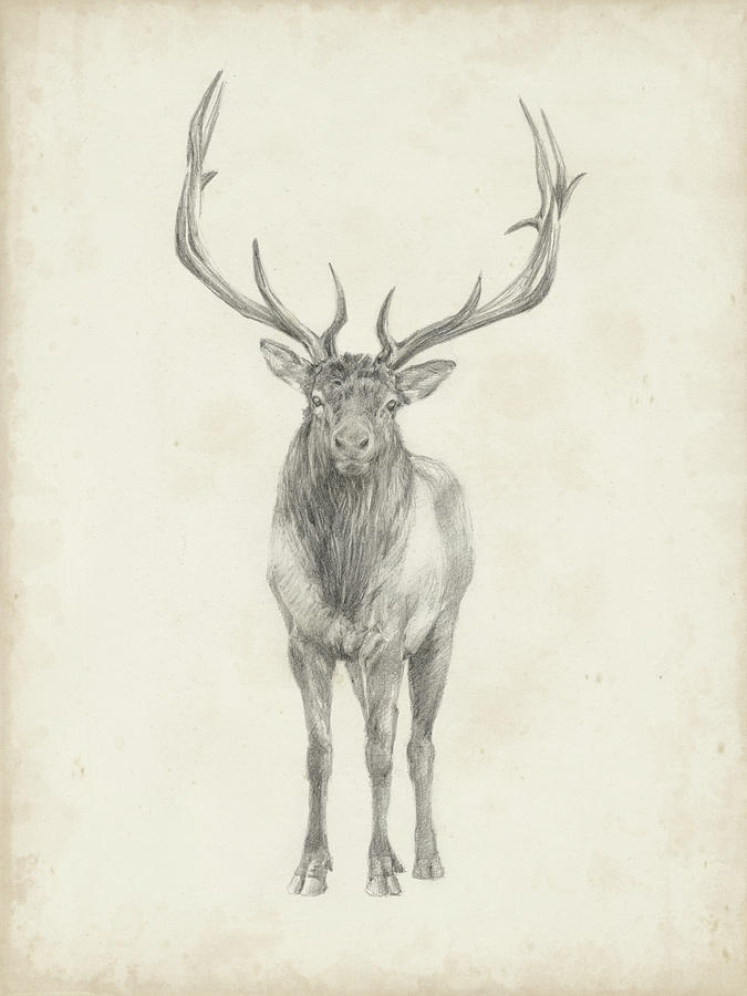 Animal Painting - Elk Study #1 by Ethan Harper