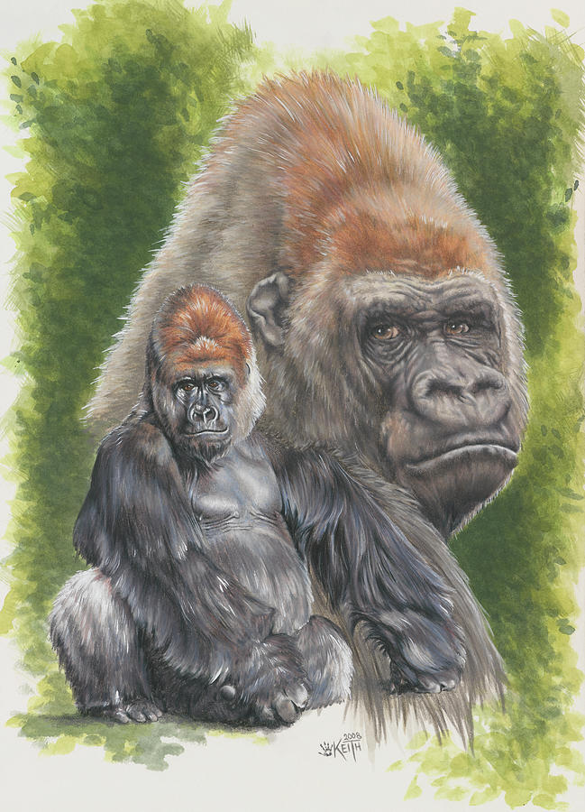 Gorilla Painting - Eloquent #1 by Barbara Keith