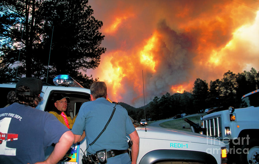 Tree Photograph - Emergency Fire Services #1 by Kari Greer/science Photo Library