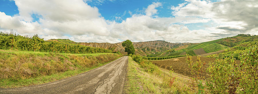 Emilia Romagna, Italy, fields on hills #2 Photograph by Vivida Photo PC