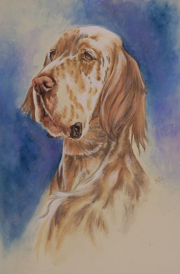 Dog Painting - English Setter #1 by Barbara Keith