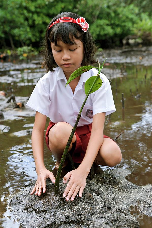 Environmental Education #1 Photograph by Matthew Oldfield/science Photo Library