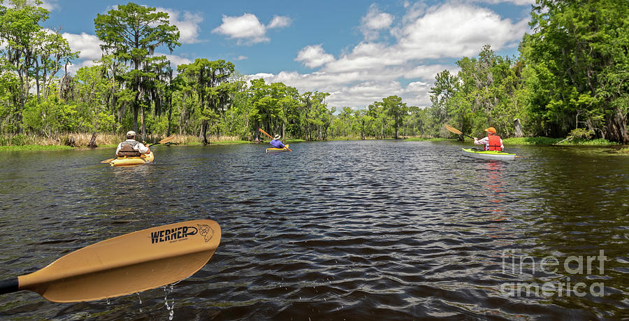 Environmental Kayak Tour Of Louisiana Swamp #1 Photograph by Jim West/science Photo Library