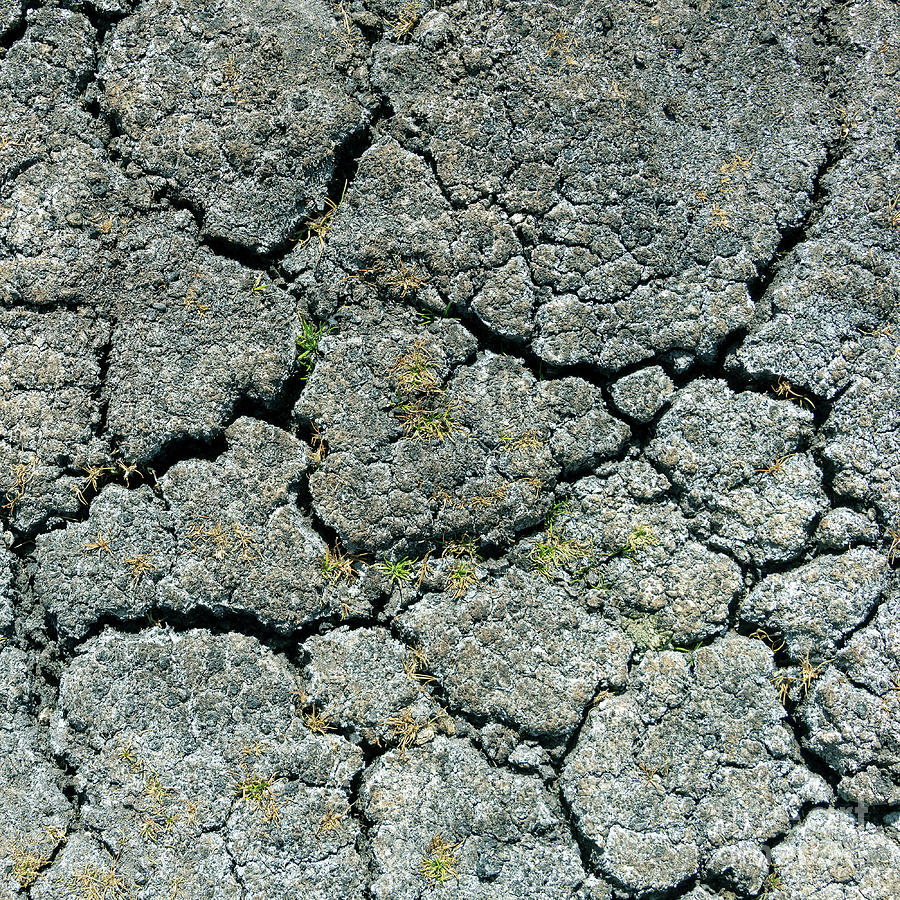 Environmental signs of climate change and global warming Photograph by ...