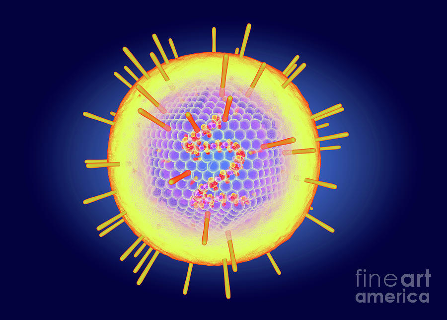 Epstein Barr Virus Photograph by Roger Harris/science Photo Library