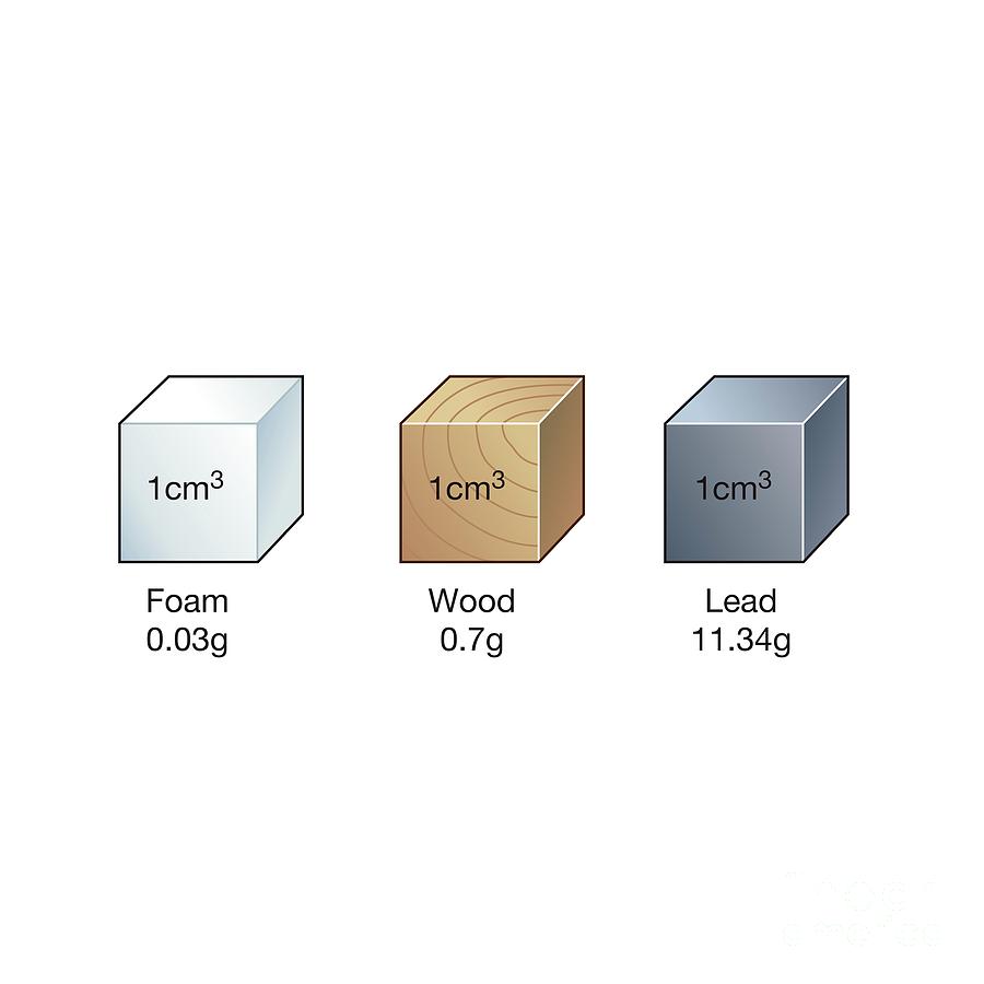 Artwork Photograph - Equal Volumes Of Different Materials by Science Photo Library Artwork Photograph - Equal Volumes Of Different Materials by Science Photo Library
