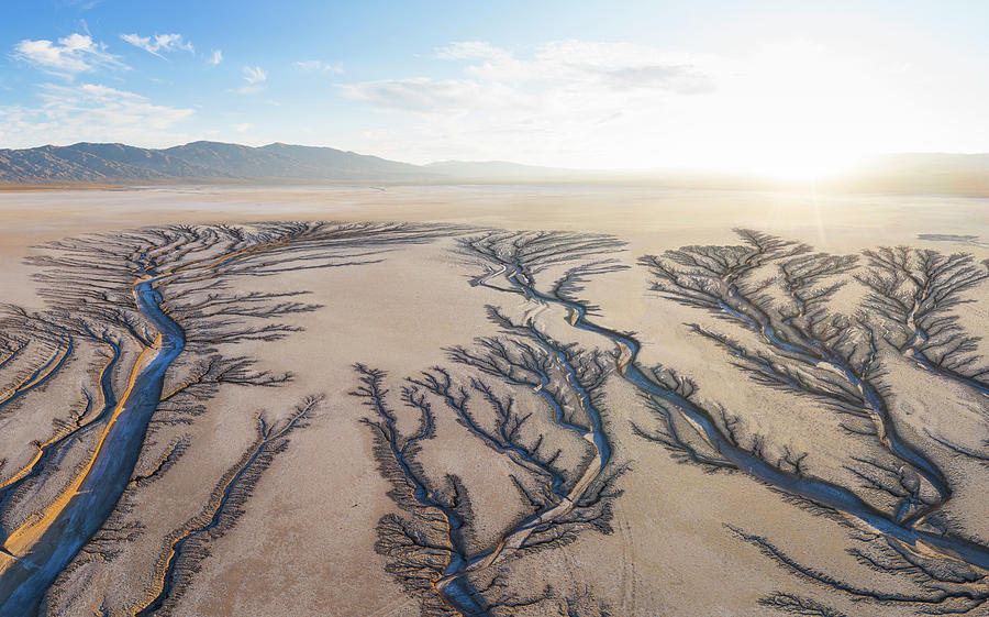 Desert Photograph - Erosion Cuts Fratcal Tree Looking Patterns Into A Dry Lake Bed I #1 by Cavan Images