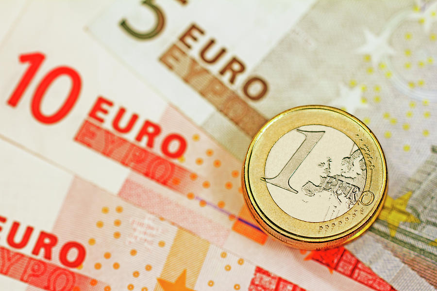 Euros #1 Photograph by David Gould