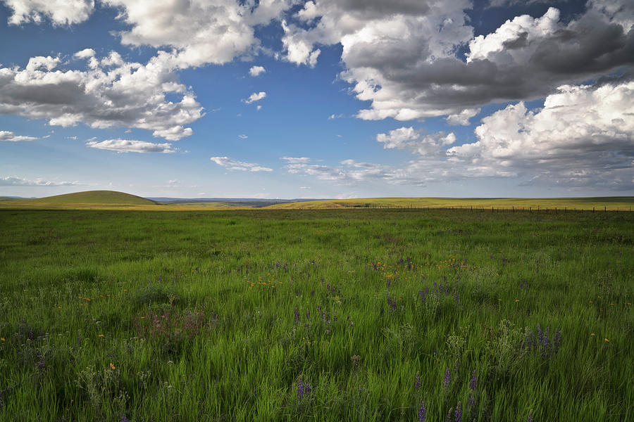 Evening clouds over the Zumwalt Prairie Preserve. Photograph by Larry ...