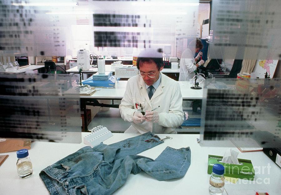 Examining Clothing In Forensic Laboratory #1 Photograph by Peter Menzel/science Photo Library