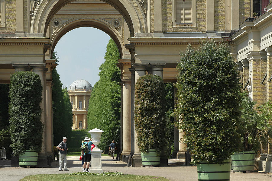 Exotic Trees Rolled Out At Sanssouci #1 Photograph by Sean Gallup