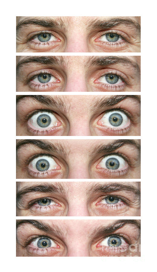 Eye Expressions #1 Photograph by Cordelia Molloy/science Photo Library