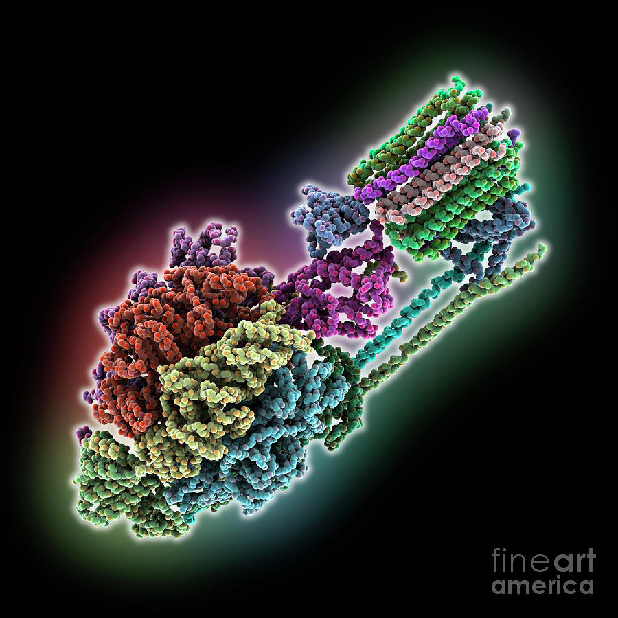 F-atp Synthase From Mycolicibacterium Photograph by Laguna Design/science Photo Library
