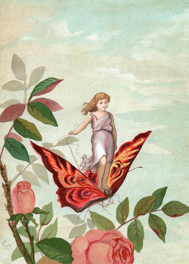 Fairy Riding A Butterfly #1 Photograph by Graphicaartis