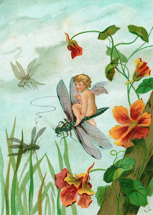 Fairy Riding A Dragonfly #1 Photograph by Graphicaartis