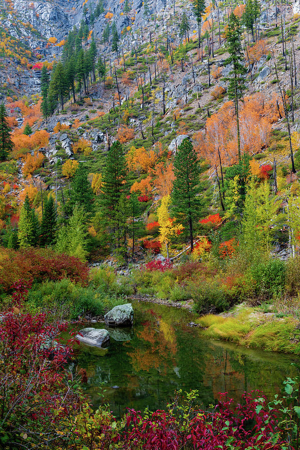 Fall Colors at Tumwater Canyon, WA #1 Digital Art by Michael Lee