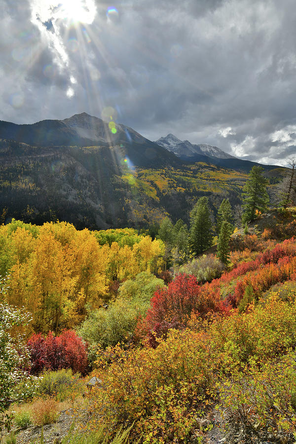 Fall Colors Beneath Sunshine Mountain along Highway 145 #1 Photograph by Ray Mathis
