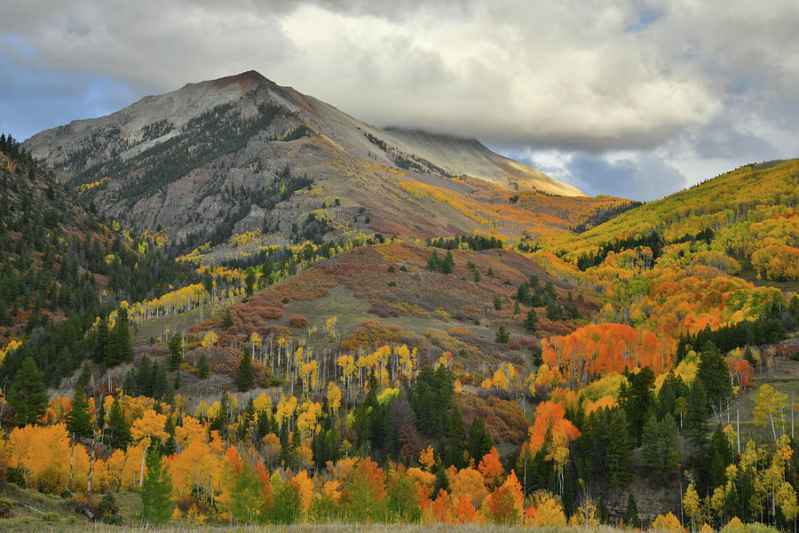 Fall Colors on Hillsides of Last Dollar Road #1 Photograph by Ray Mathis