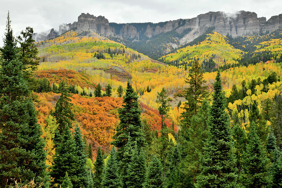 Fall Comes to Owl Creek Pass #1 Photograph by Ray Mathis