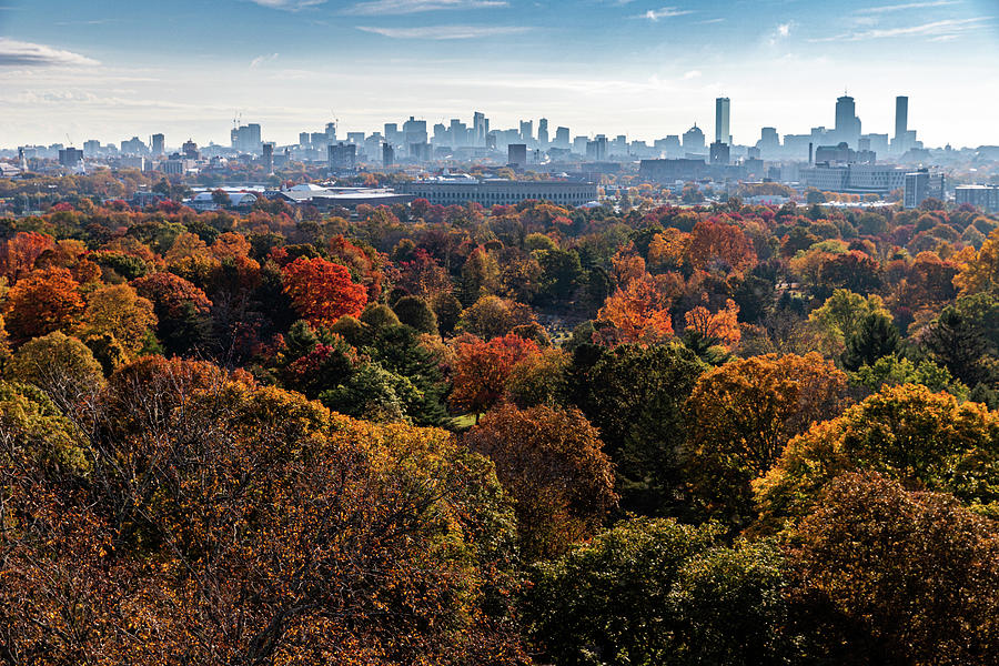Fall Foliage Colors Popping In Front Of City Skyline. Photograph by ...
