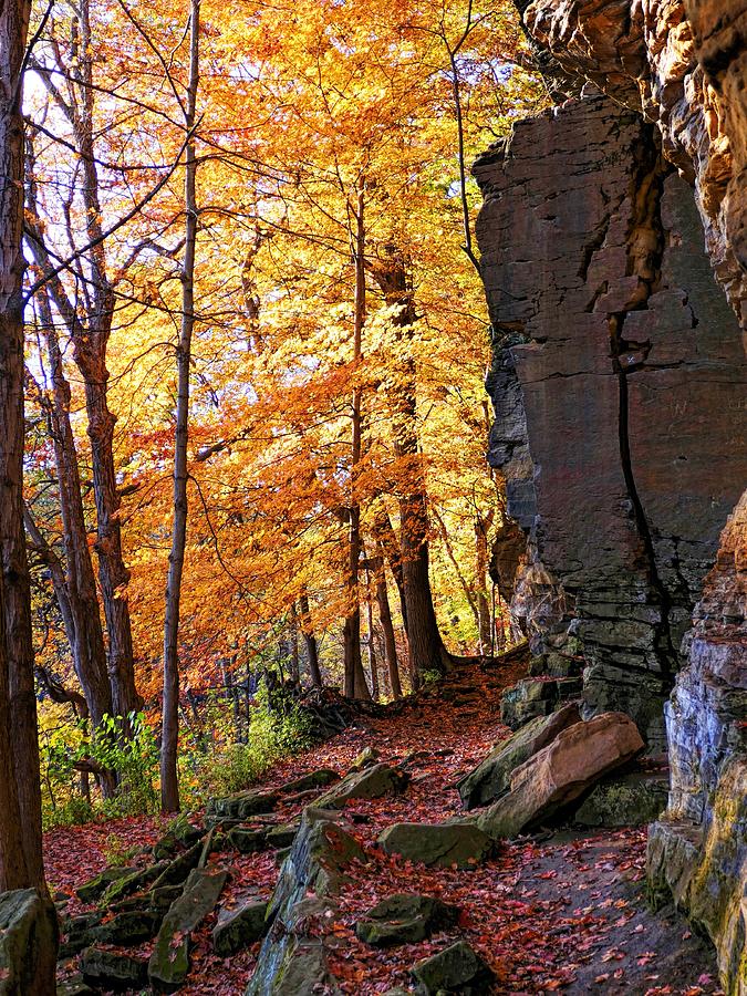 1-fall-in-grand-ledge-mi-linda-scarborough.jpg