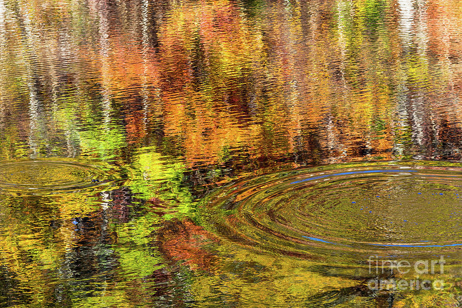 Fall Reflections Photograph by Bernd Laeschke