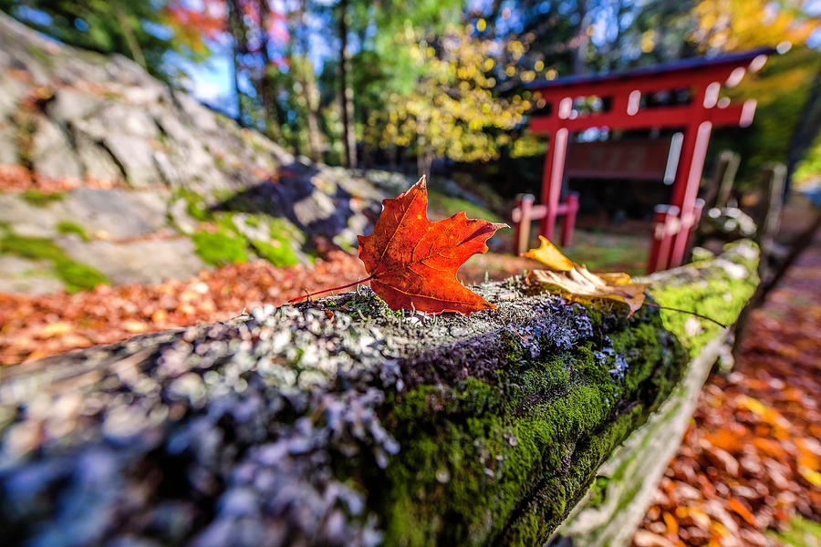 Fall Scenes At North Hatley In Quebec #1 Photograph by John Wang