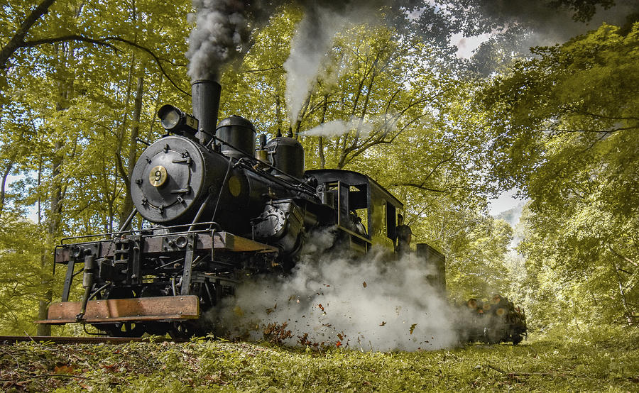 Fall Train #1 Photograph by Michelle Wittensoldner