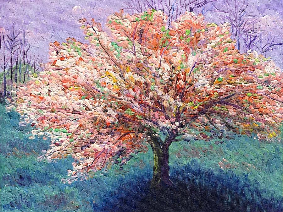 Fall Tree by Stefan Duncan Fall Tree by Stefan Duncan