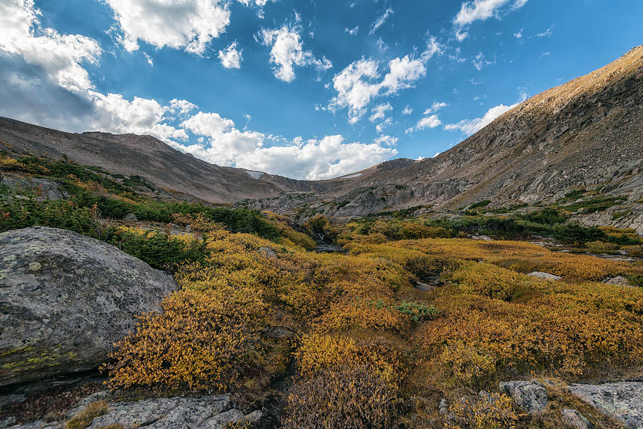 Fall Photograph - Fall Tundra In The Indian Peaks Wilderness #1 by Cavan Images
