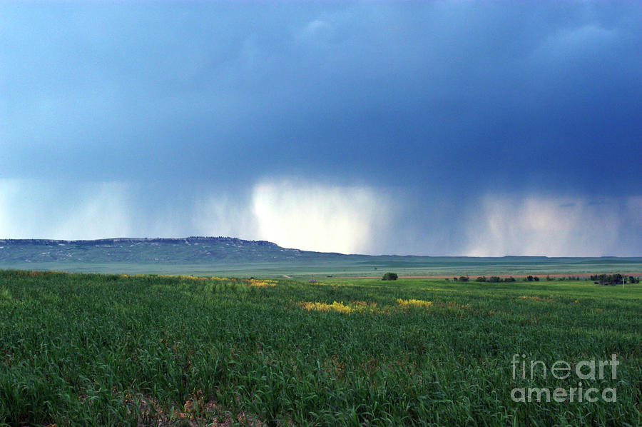 Falling Rain #1 Photograph by Jim Reed/science Photo Library