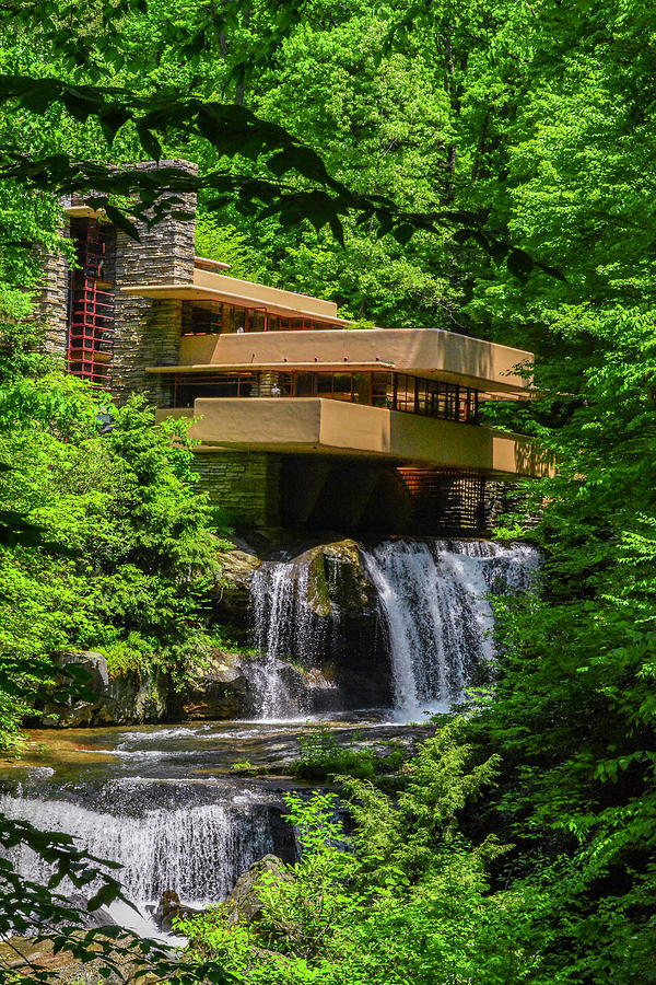 Fallingwater Photograph by Steve Snyder - Fine Art America